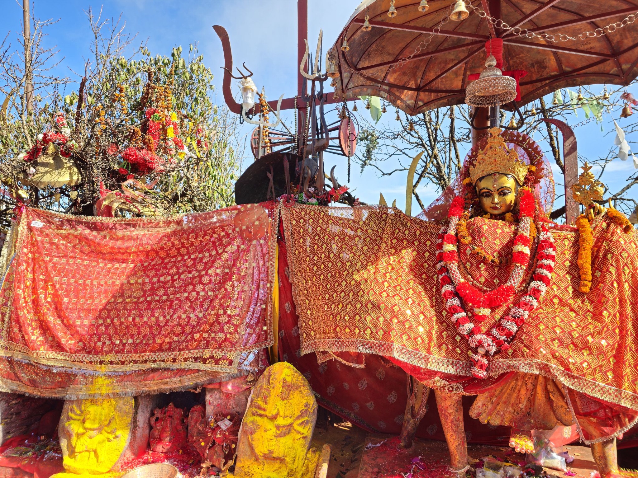पाथीभरामा सात महिनामा एक लाख १३ हजार बढी भक्तजनद्वारा दर्शन